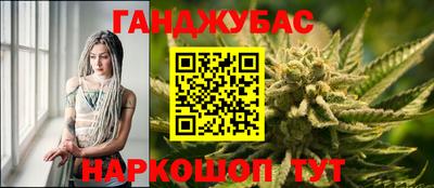 mdpv Обнинск