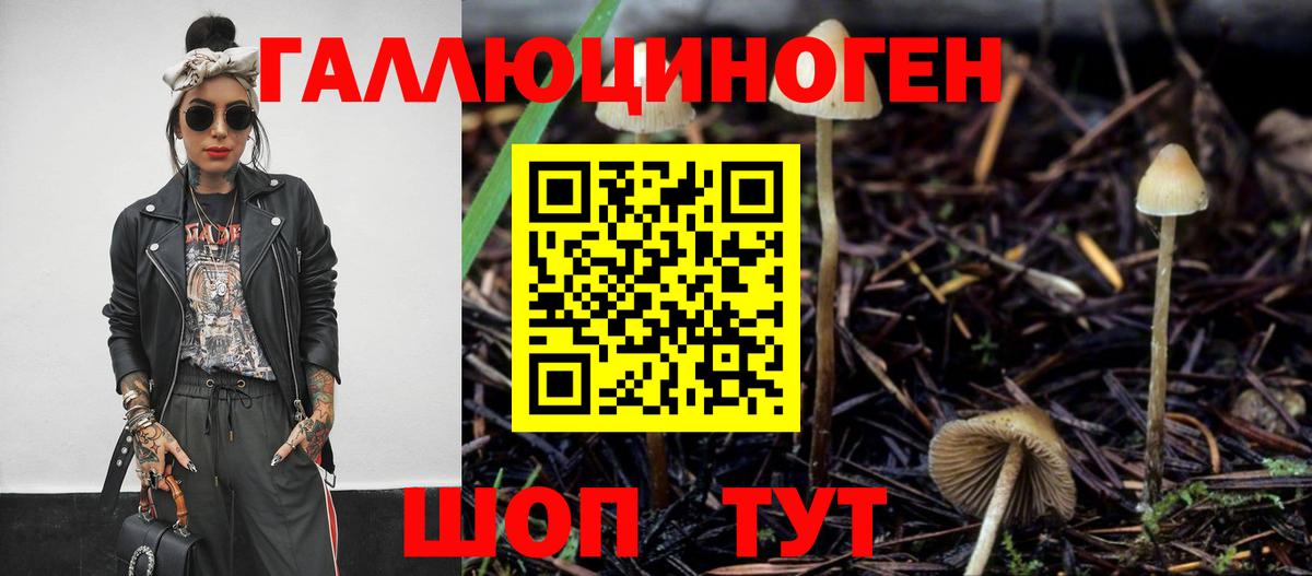 Ржев  Галлюциногенные грибы мухоморы  Вход с VPN 